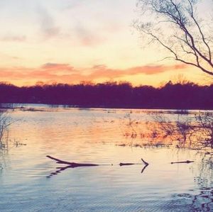 Meet your Posher, Ethan